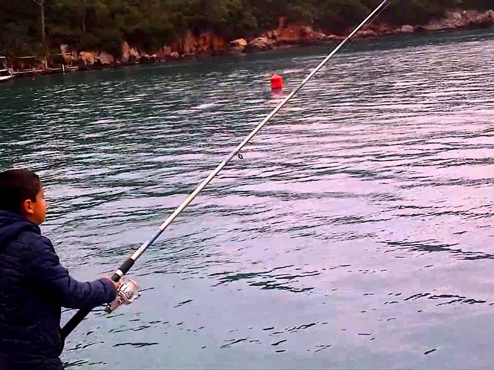 Olta Balıkçılığı